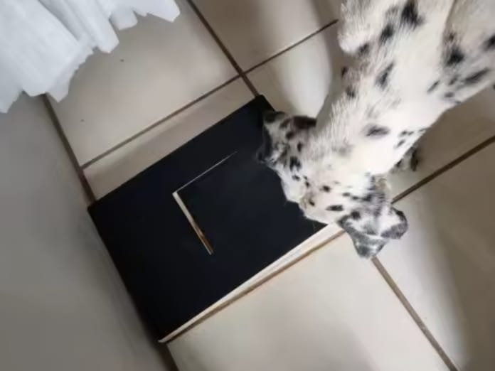 Recenzja 2